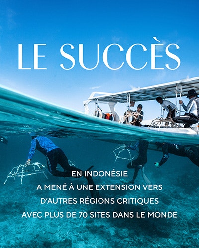 Le Succes