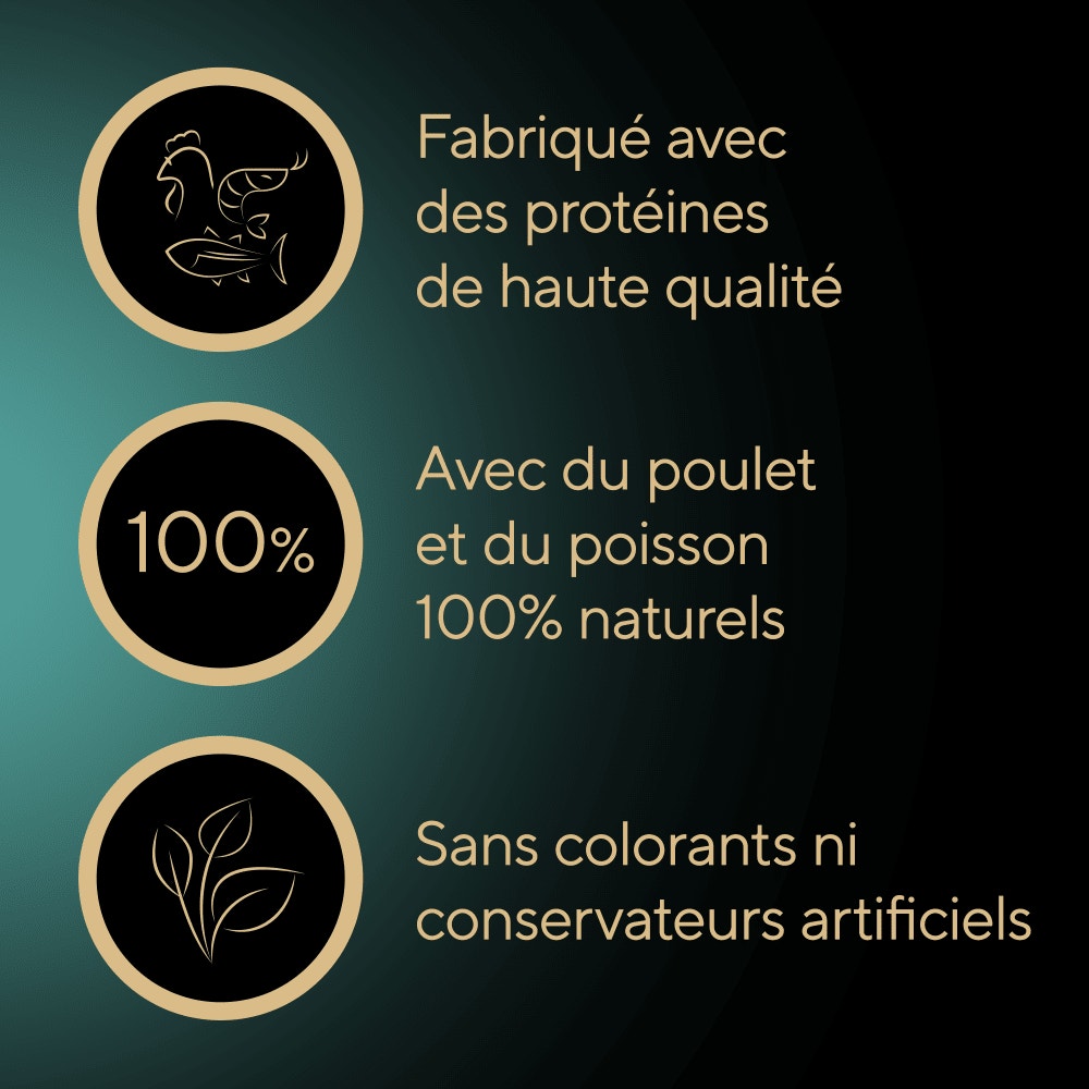 Multipack Filets au Poulet, Crevettes Saumon et Thon 6x60g - 4