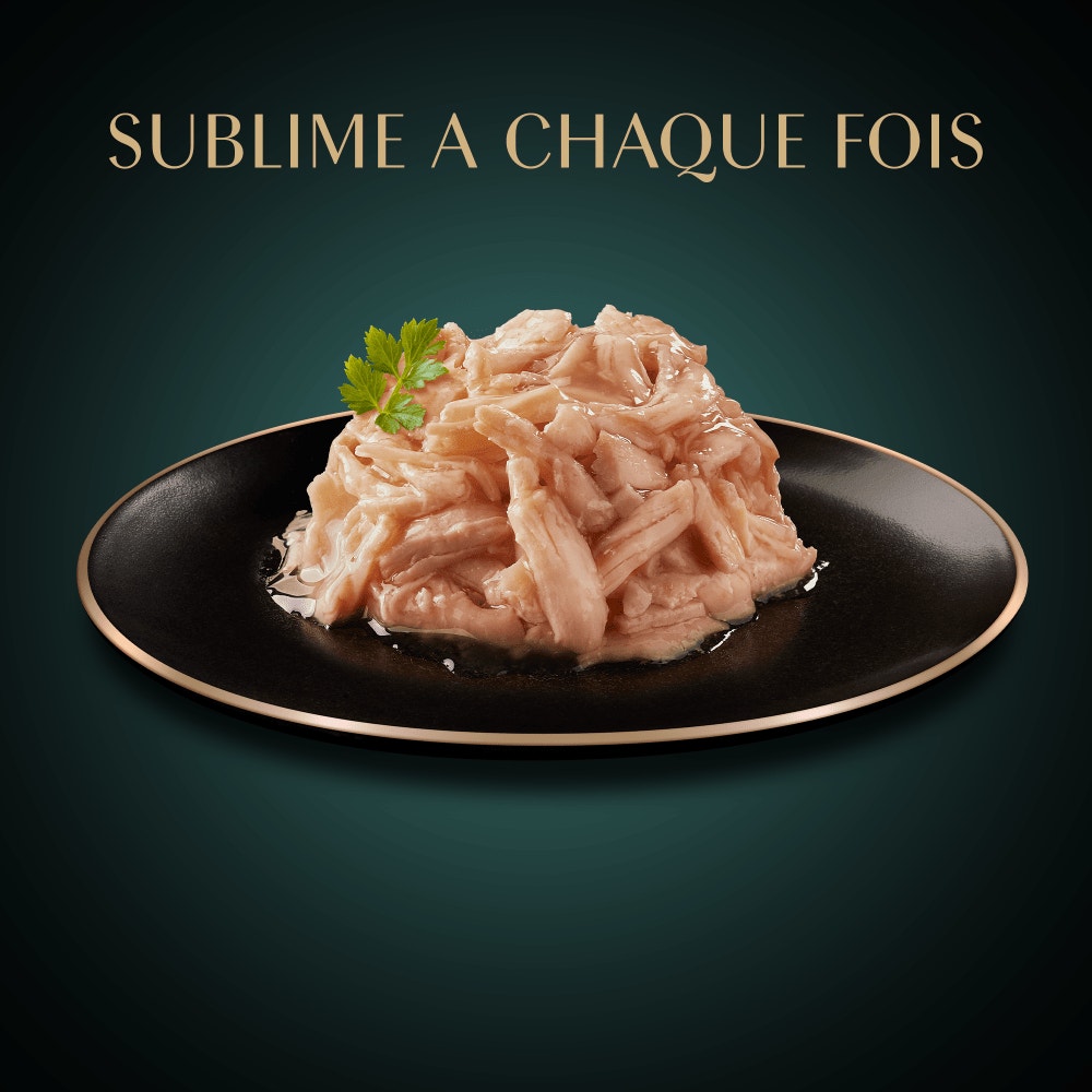 Multipack Filets au Poulet, Crevettes Saumon et Thon 6x60g - 3