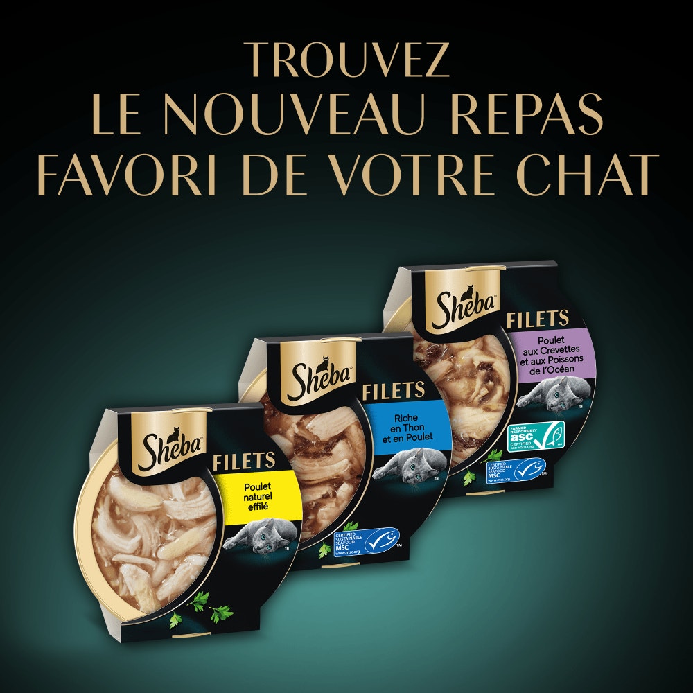 Multipack Filets au Thon, Poulet, Poissons de L'océan, Saumon et Volaille 6x60g - 5