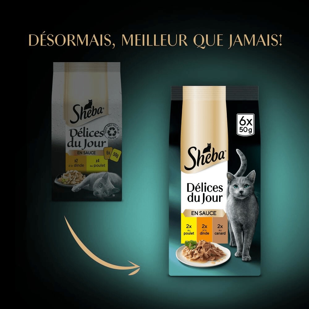 Volaille En Sauce 6 x 50g - Délices Du Jour - 2