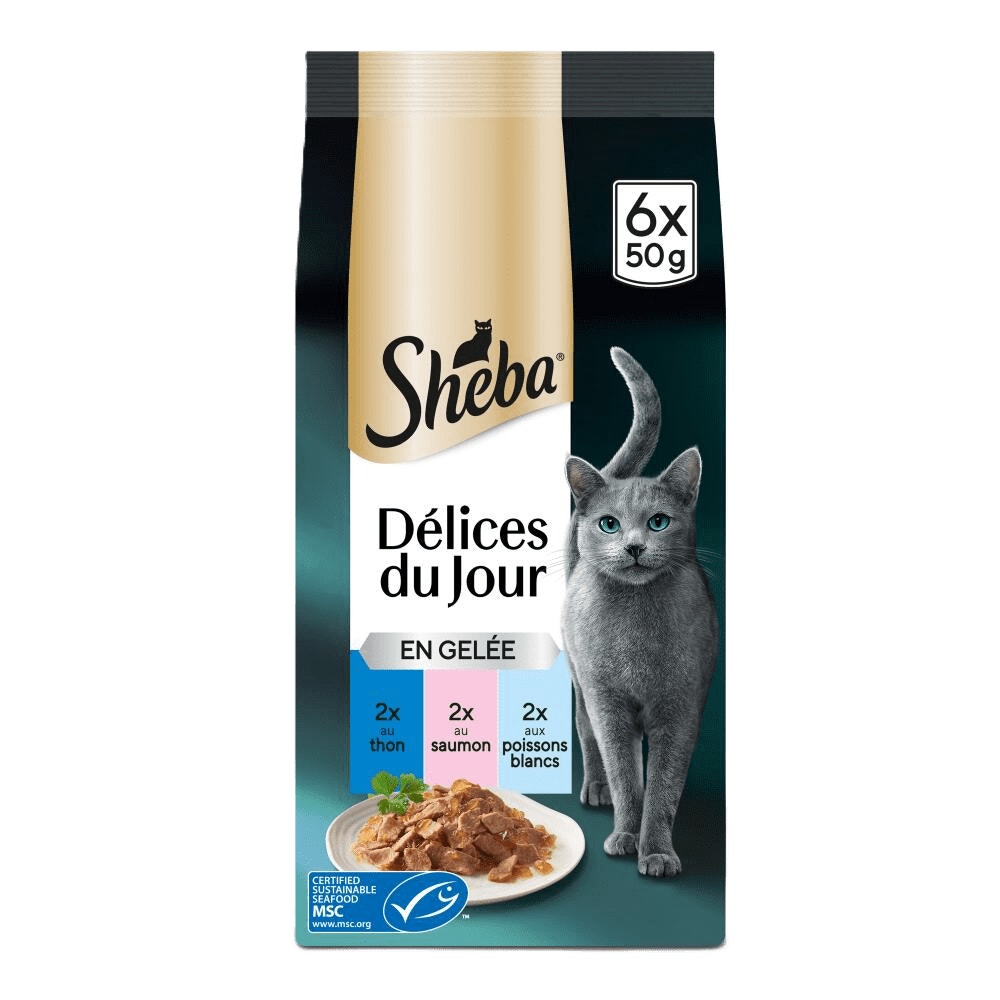 Poissons En Gelée 6 x 50g - Délices Du Jour - 1