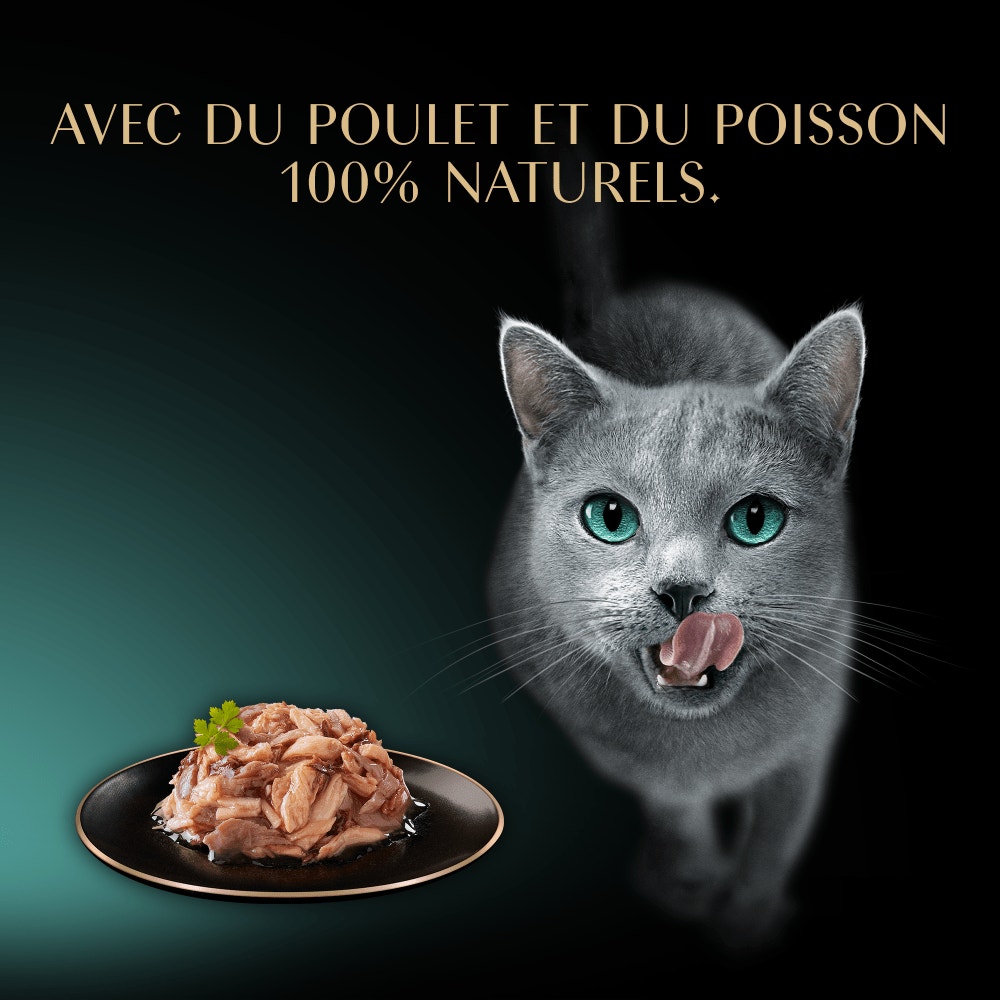 Poulet Et Au Thon 1 x 60g - Filets - 2