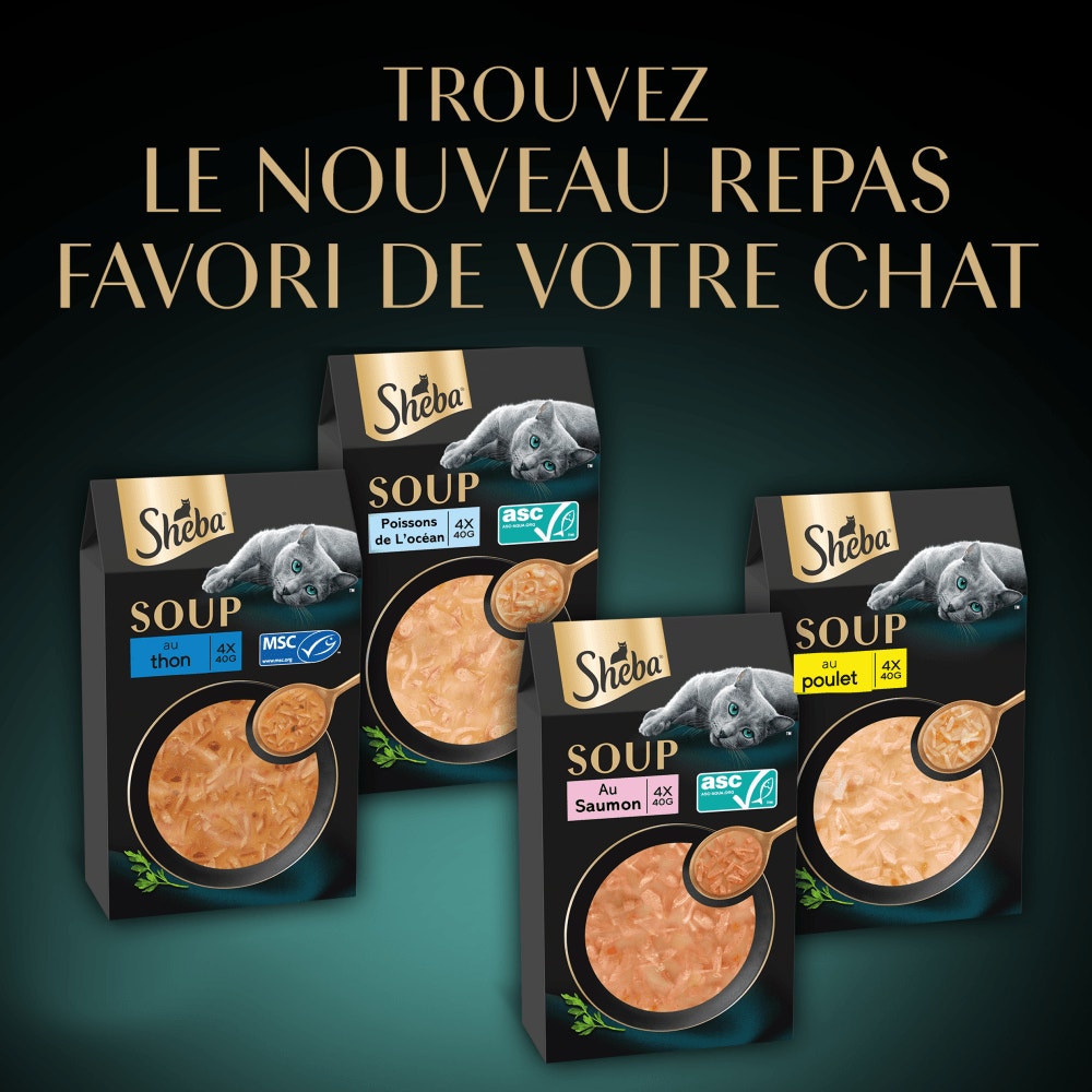 Maxi Pack Soupes au Poulet, au thon, au saumon et poissons blancs 32 x 40g - 4