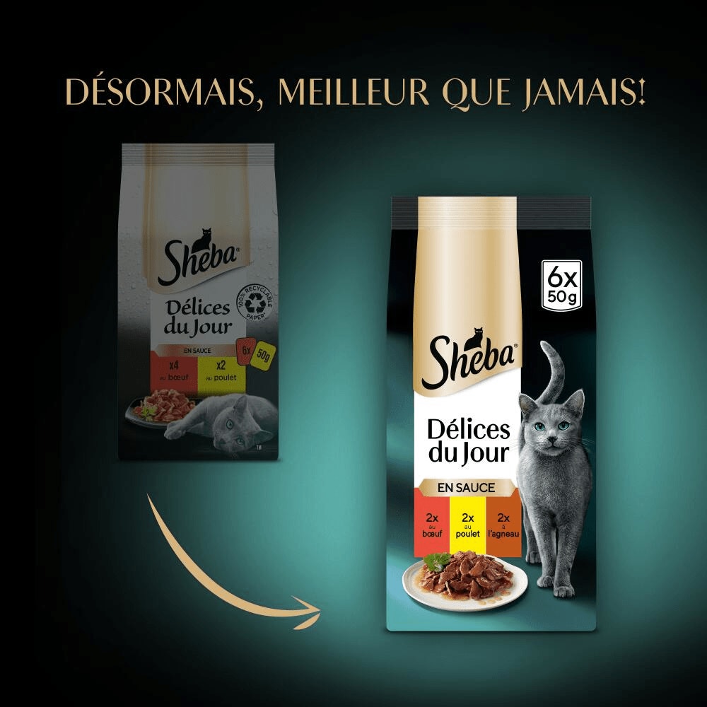 Sachets Fraîcheur Du Boucher En Sauce 6 x 50g - Délices Du Jour - 2
