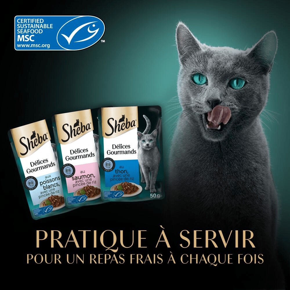 Sachets Fraîcheur Taste Of Tokyo 6 x 50g - Délices Gourmands - 5