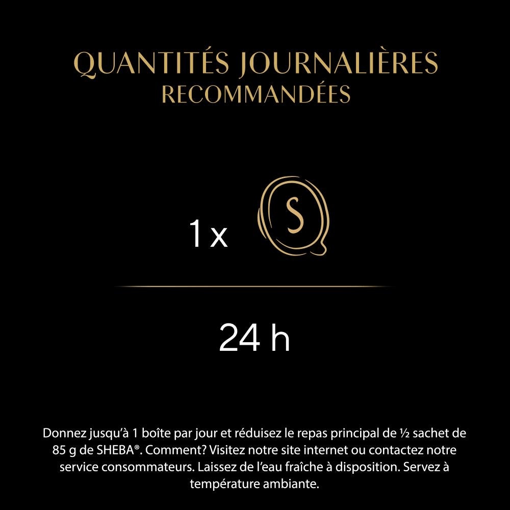 Poulet Aux Crevettes Et Aux Poissons De L'Océan 1 x 60g - Filets - 3