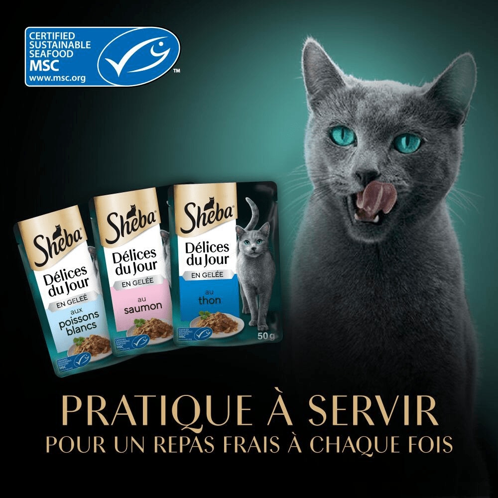 Poissons En Gelée 6 x 50g - Délices Du Jour - 5