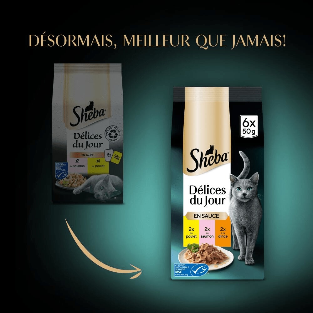 Terre & Mer En Sauce 6 x 50g - Délices Du Jour - 2