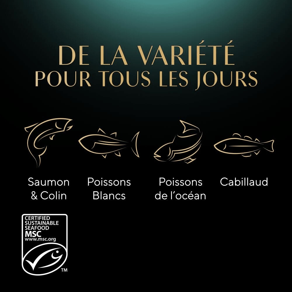 Sélection aux Poissons En Sauce 4 x 85g - Mini Filets - 4