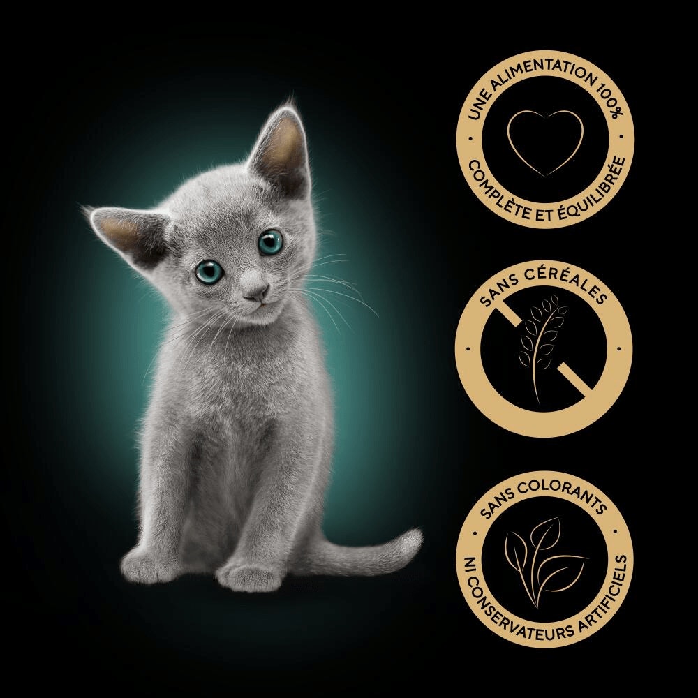 Sélection Mixte En Sauce 12 x 85g - Kitten - 5