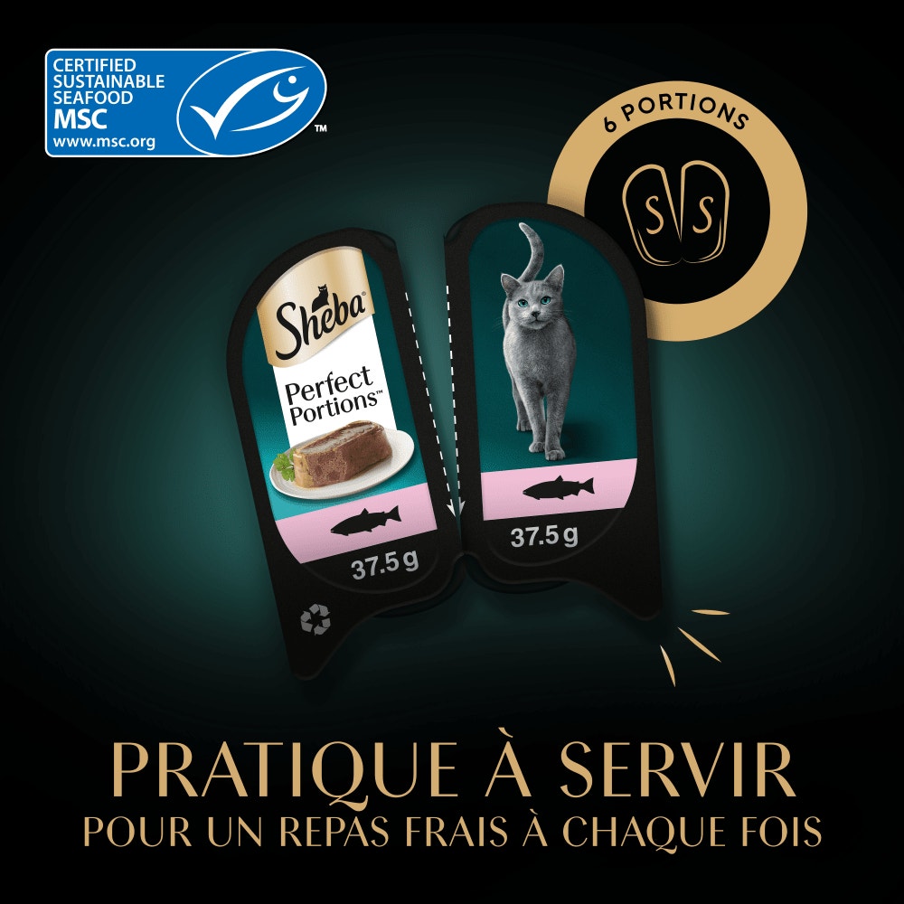 Saumon MSC - PERFECT PORTIONS™ 6 x 37,5g - 3