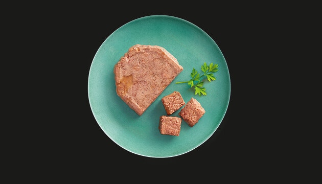 classiques pour chats