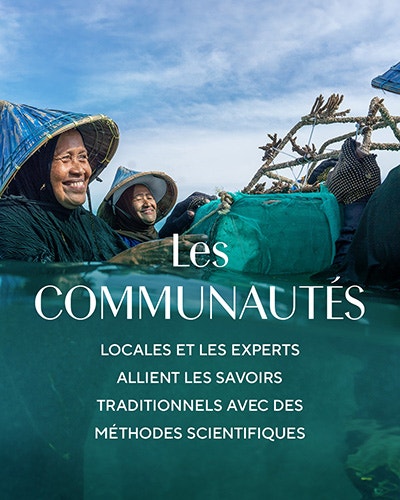 Les Communautes