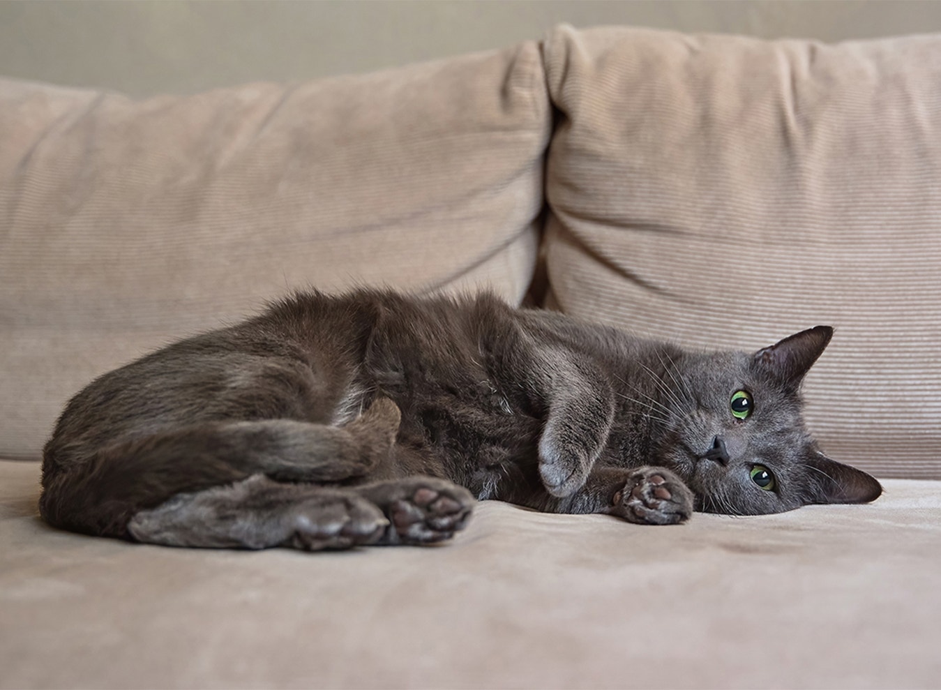Créez des espaces rien qu’à lui