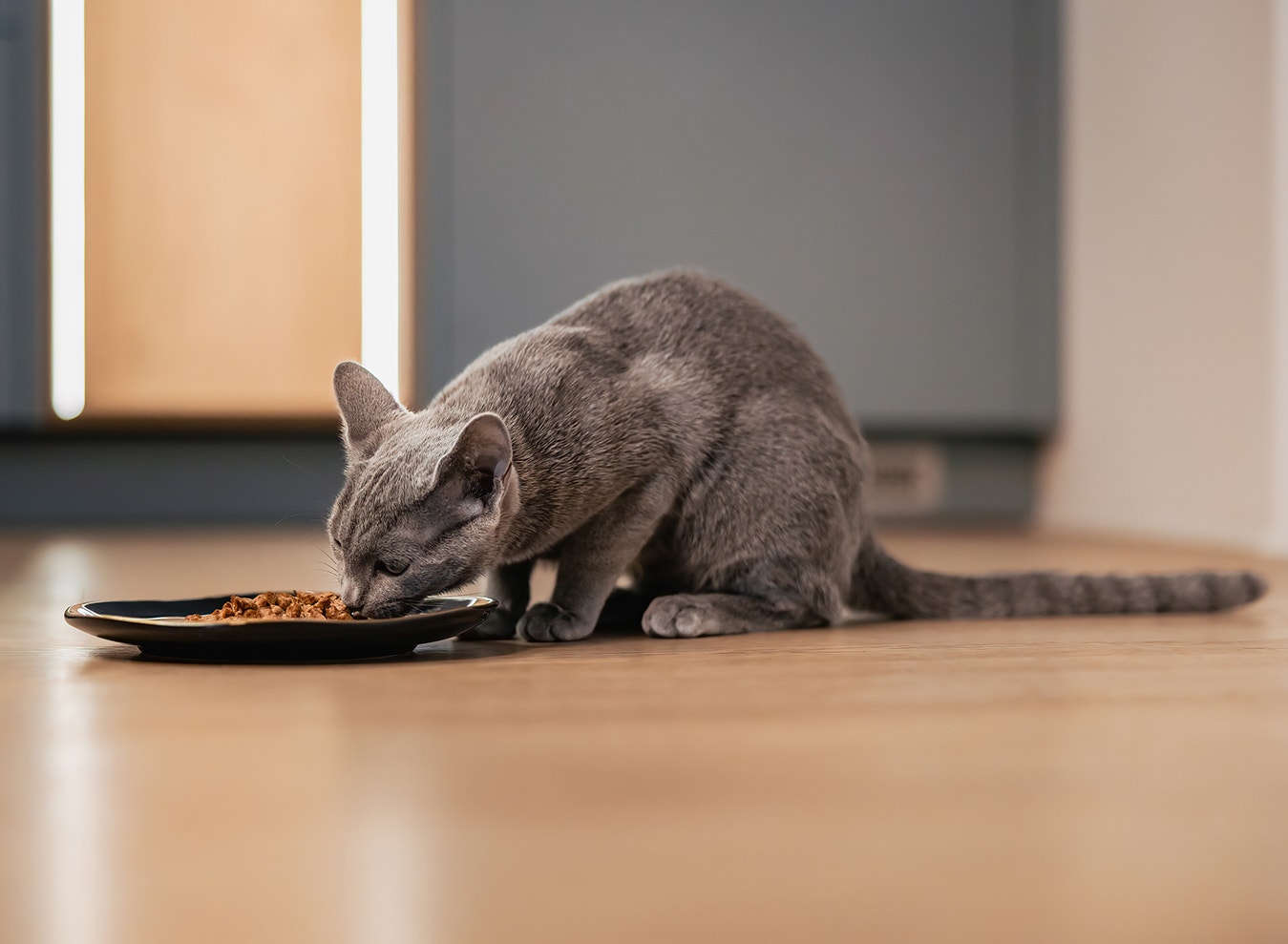 Nourrissez le cœur, pas seulement le ventre