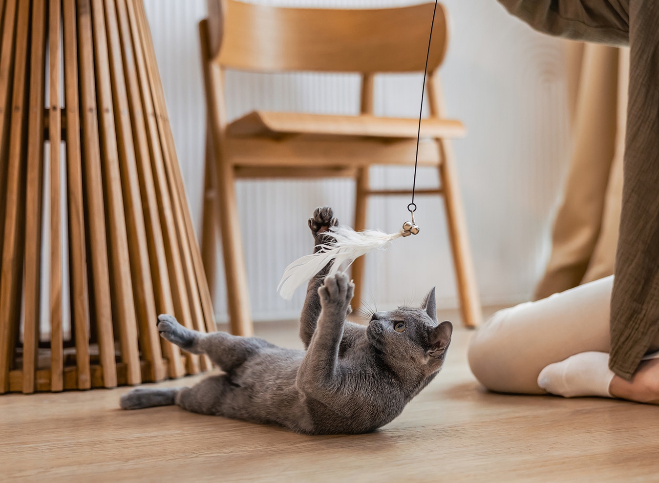 Faites du jeu un rituel quotidien