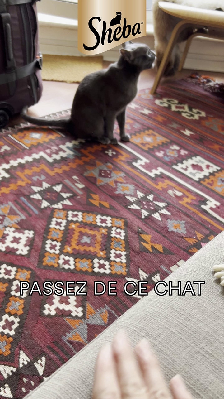 Ignored to Adored 2 cover image