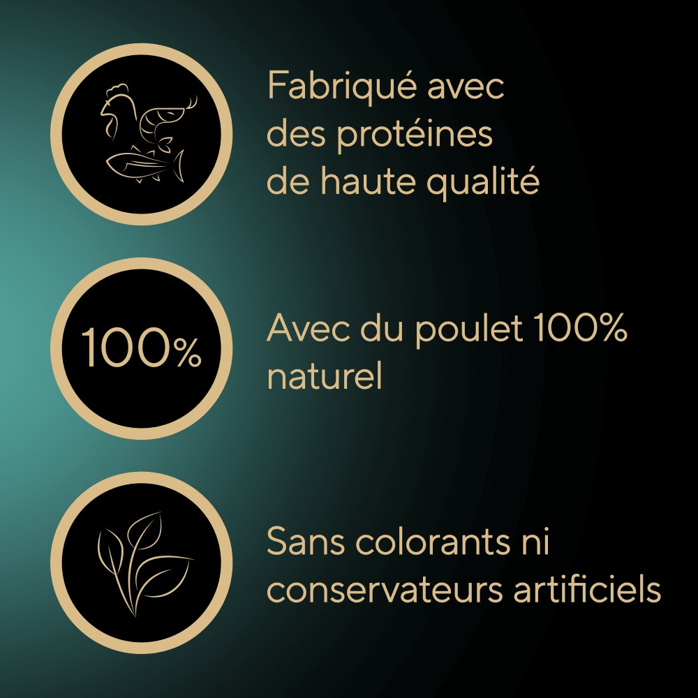 Poulet 1 x 60g - Filets - 4