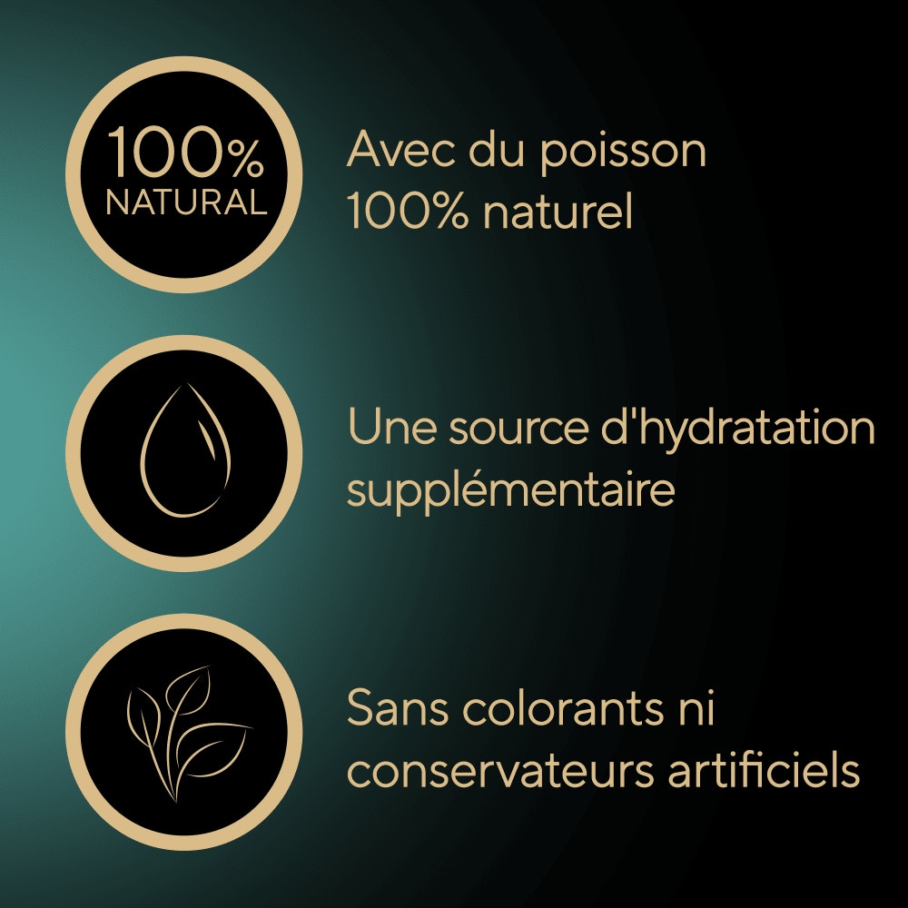 Soupe Sachets Fraîcheur Au Filets De Poulet 4 x 40g - 4