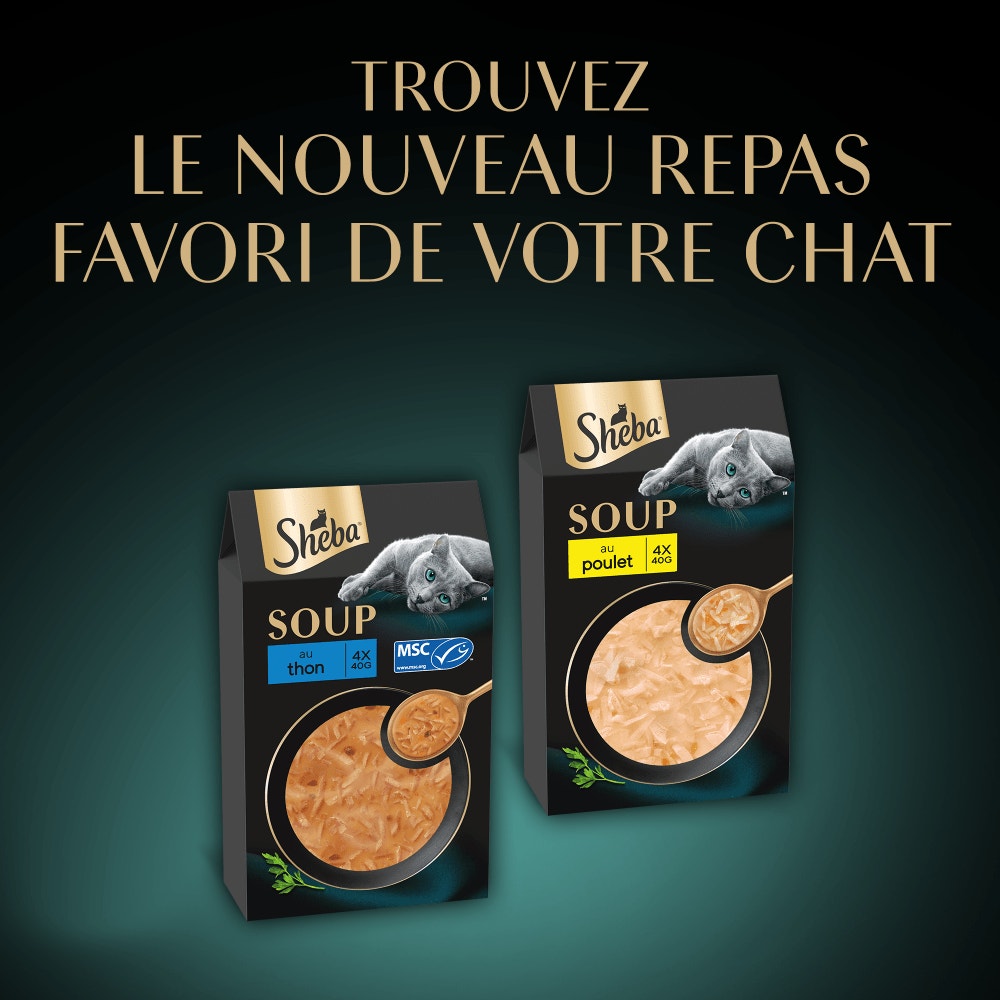 Soupe Sachets Fraîcheur Au Filets De Poulet 4 x 40g - 5