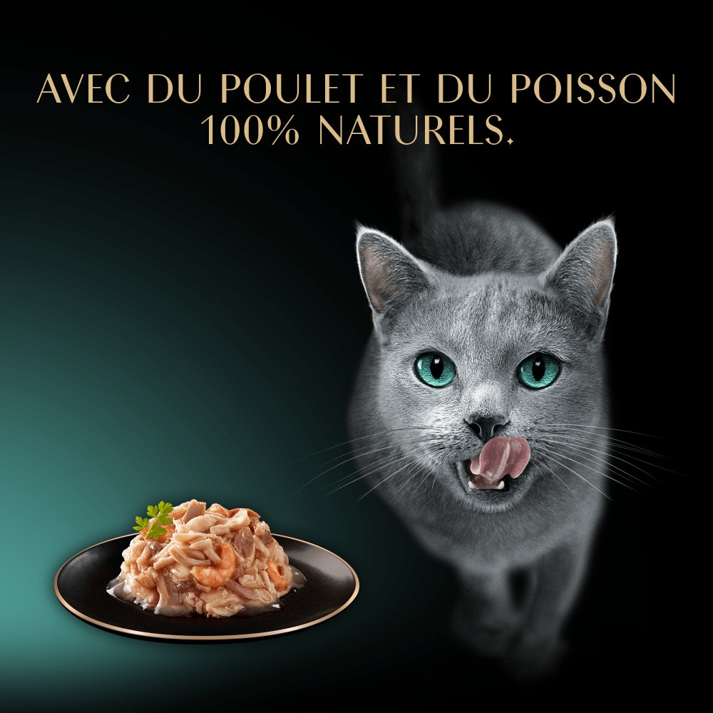 Poulet Aux Crevettes Et Aux Poissons De L'Océan 1 x 60g - Filets - 2