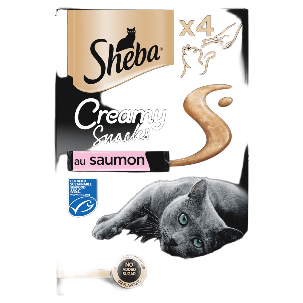 Saumon 4 x 12g - Creamy Snacks - 1