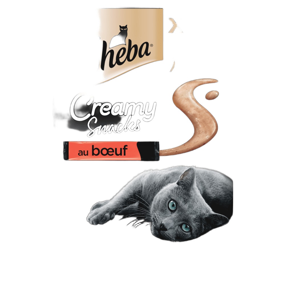 Boeuf 4 x 12g - Creamy Snacks - 1