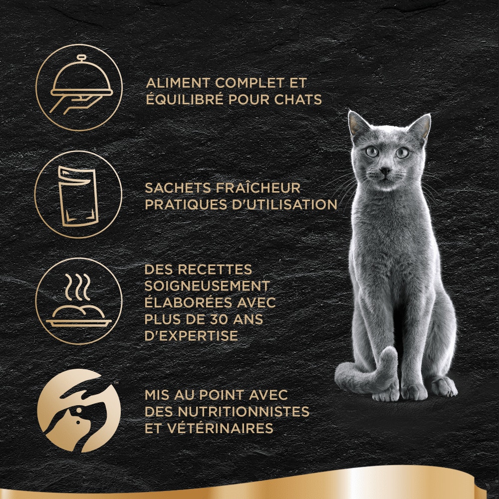 Volaille En Sauce 4 x 85g - Les Créations - 4