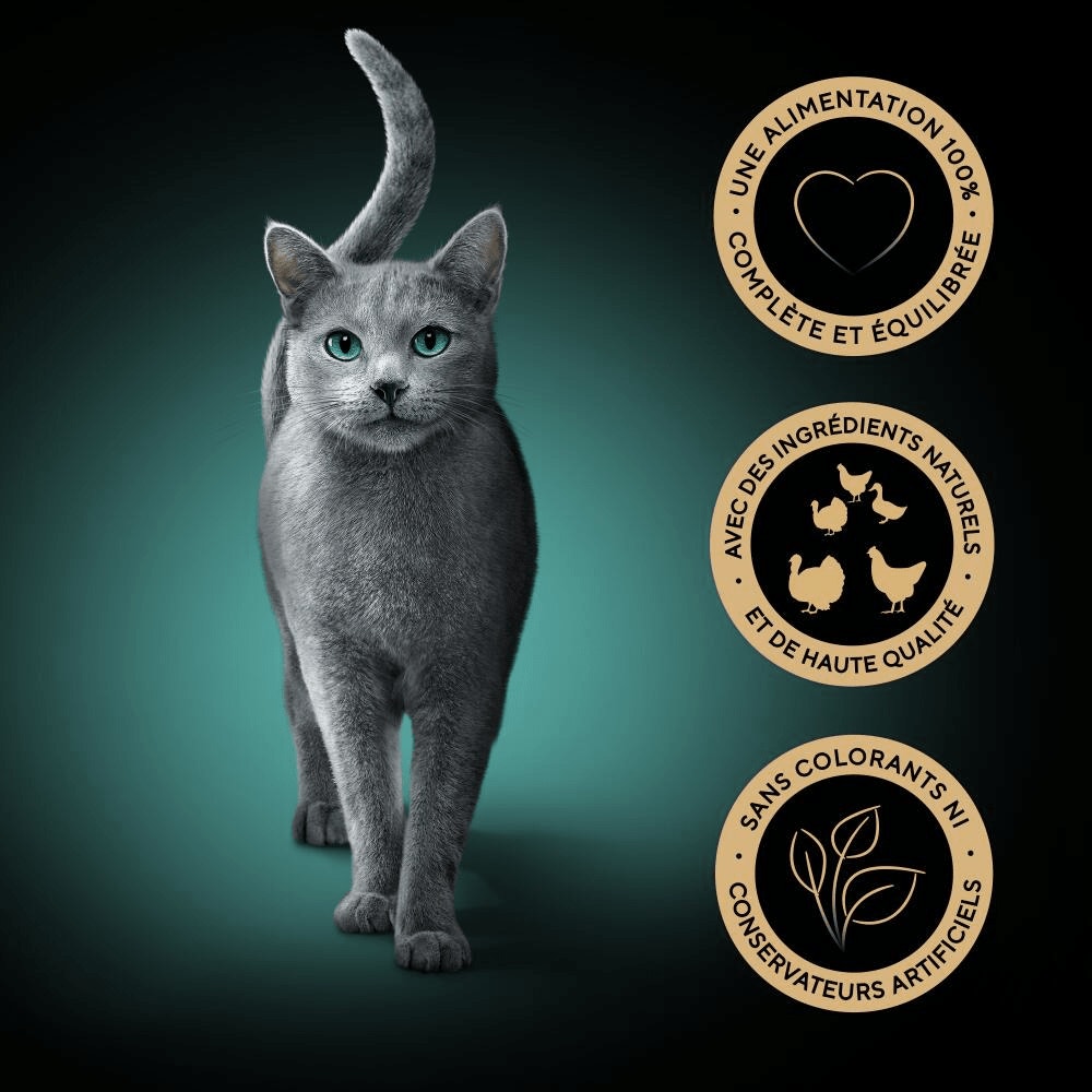 Volaille En Sauce 15 x 50g - Délices Du Jour - 4