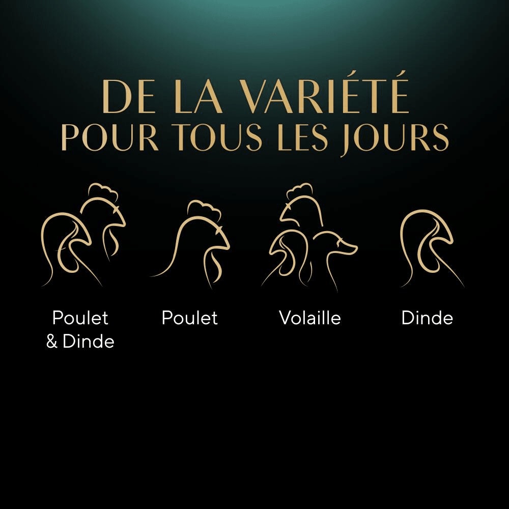 Sélection à la Volaille En Sauce 12 x 85g - Mini Filets - 4