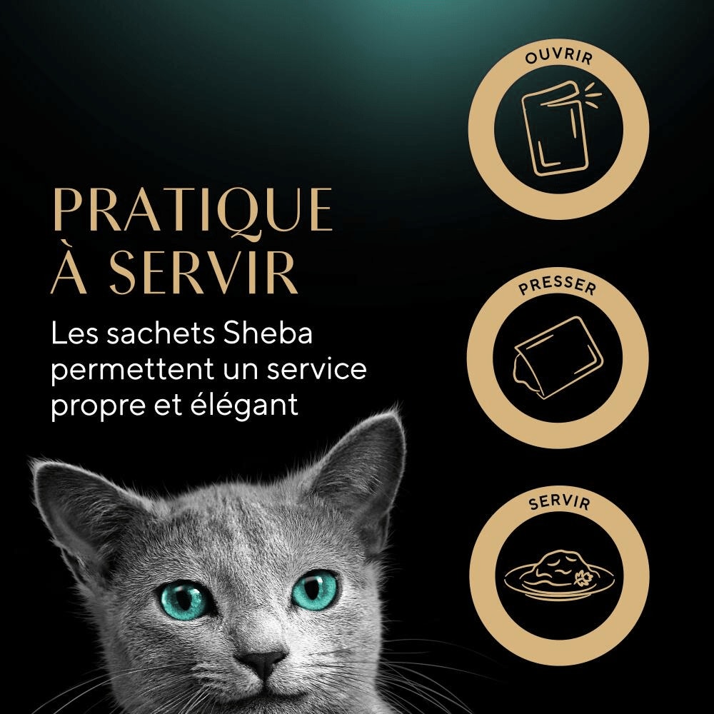 Sachets Fraîcheur Du Boucher En Sauce 6 x 50g - Délices Du Jour - 5