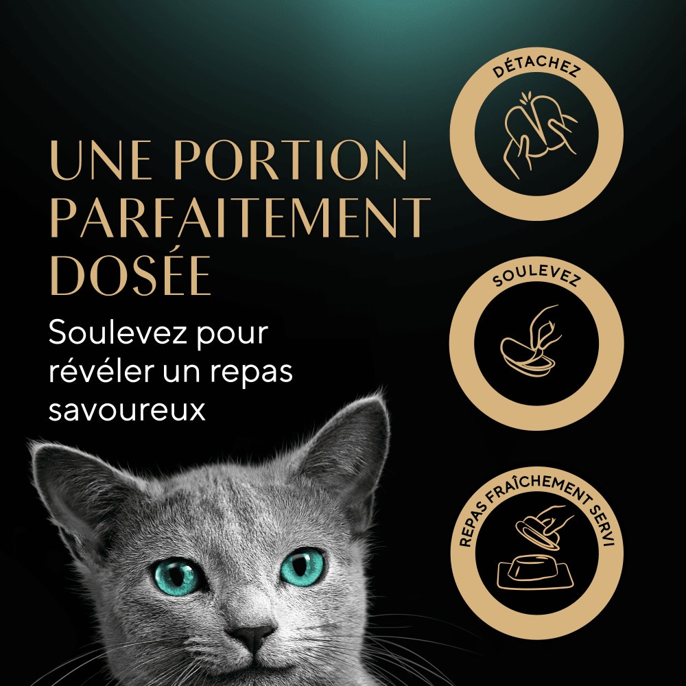 Poulet - PERFECT PORTIONS™ 6 x 37,5g - 5