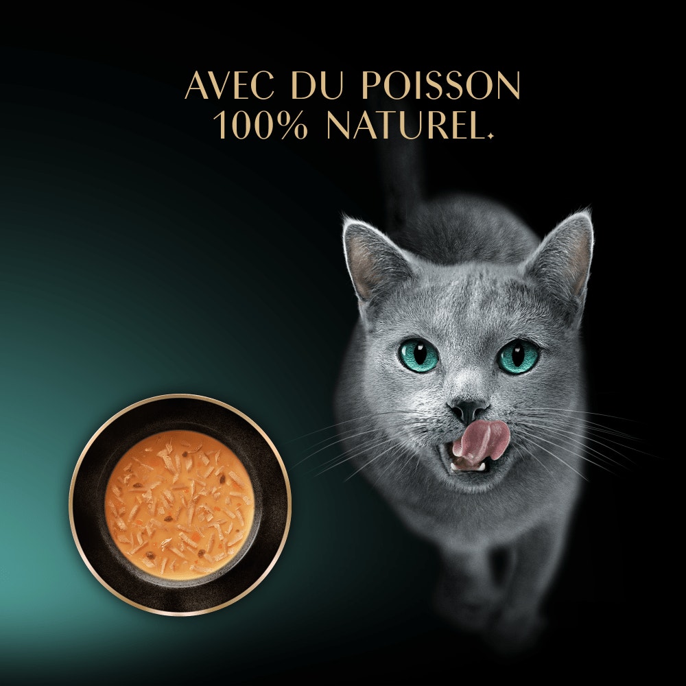 Soupe Sachets Fraîcheur Au Filets De Poulet 4 x 40g - 3