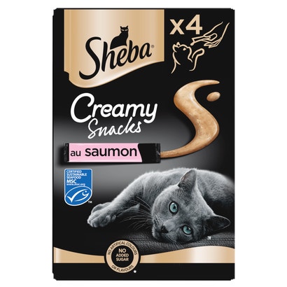 Saumon 4 x 12g - Creamy Snacks