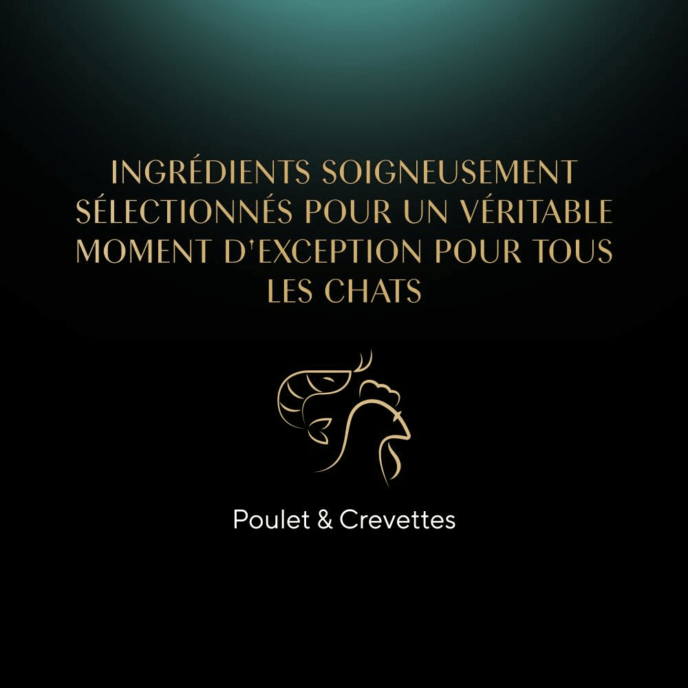 Poulet Aux Crevettes Et Aux Poissons De L'Océan 1 x 60g - Filets - 4